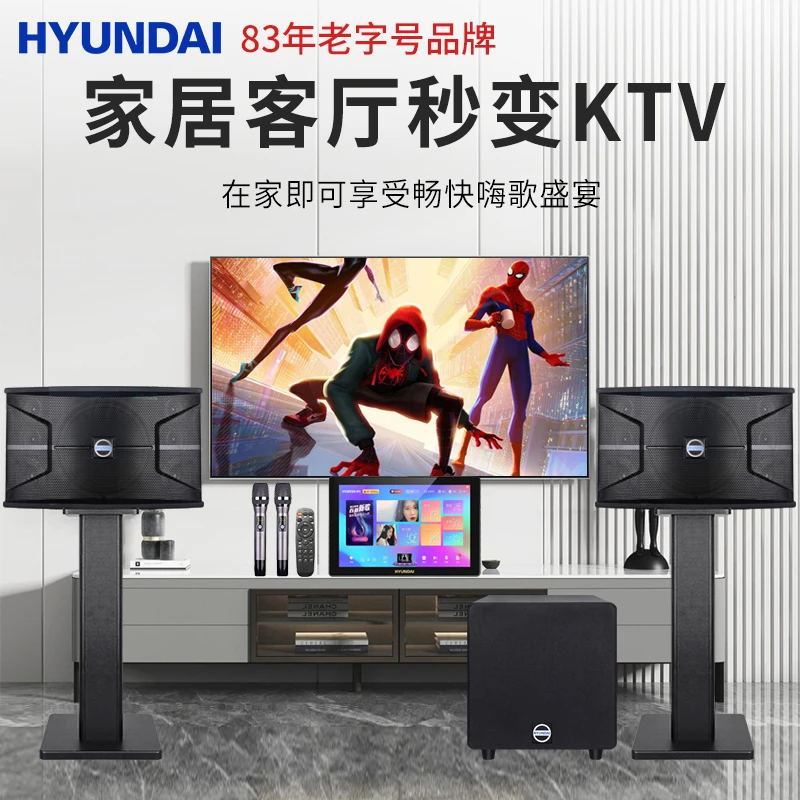 HYUNDAI/现代七单元三分频10英寸HY-710有源功率强劲KTV点歌套装