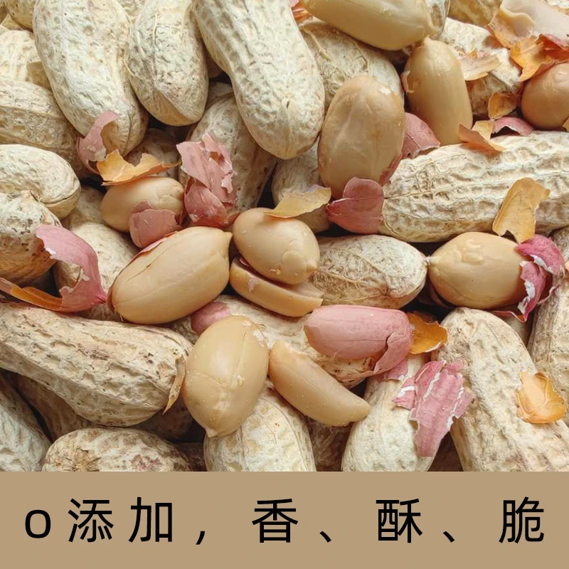 23年原味炒花生农家散装带壳生花生现炒现发熟花生炒货香脆花生