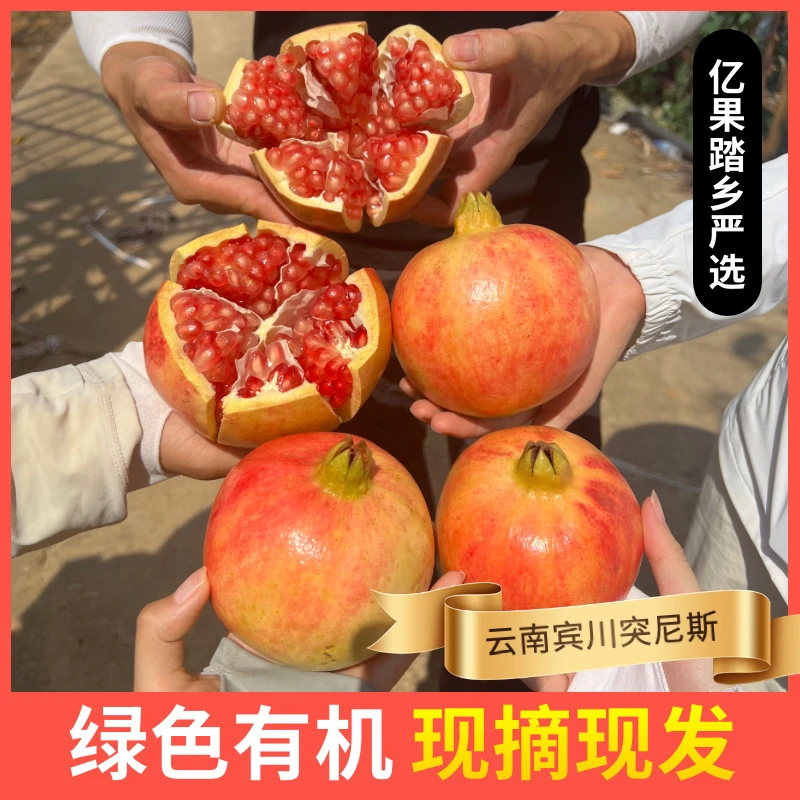 (京东发货)云南宾川突尼斯软籽石榴5-10有机品质水果饱满现摘新鲜