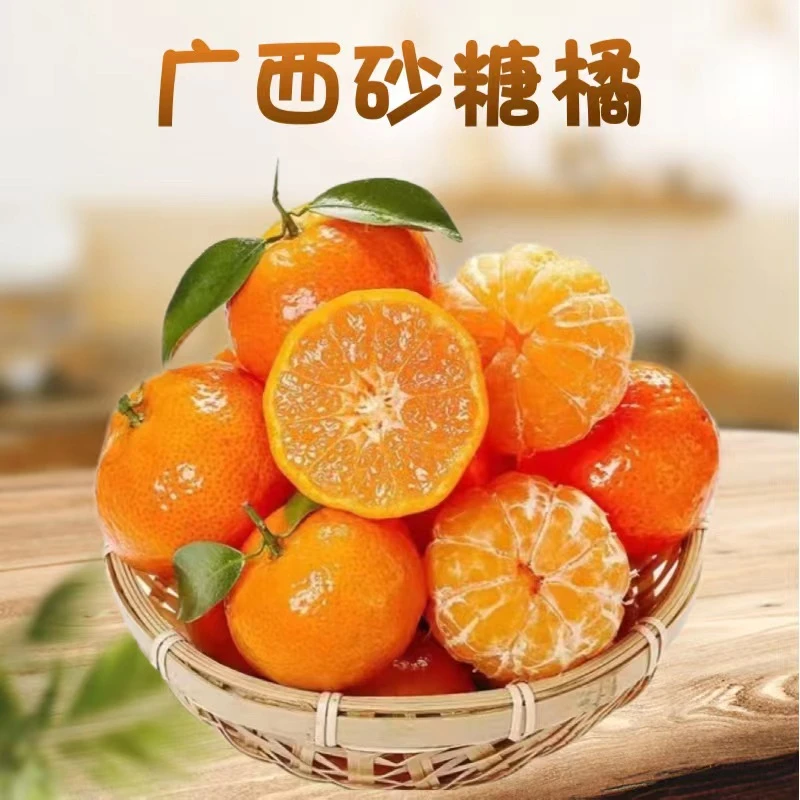 正宗新鲜老树多汁广西沙糖桔新鲜优选当季皮薄水果产品