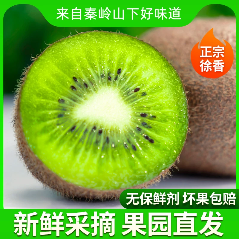 【需要催熟】陕西正宗徐香猕猴桃绿心新鲜当季香甜软糯猴桃整箱包邮