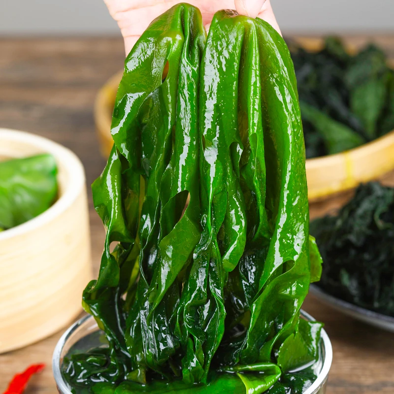 无虫眼营养新嫩盐渍裙带菜箱装新鲜优质脆嫩儿童爽滑火锅配菜美味