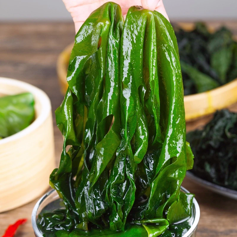【正宗无虫眼】大连盐渍裙带菜新鲜鲜嫩高泡火锅配菜海带凉拌爽口