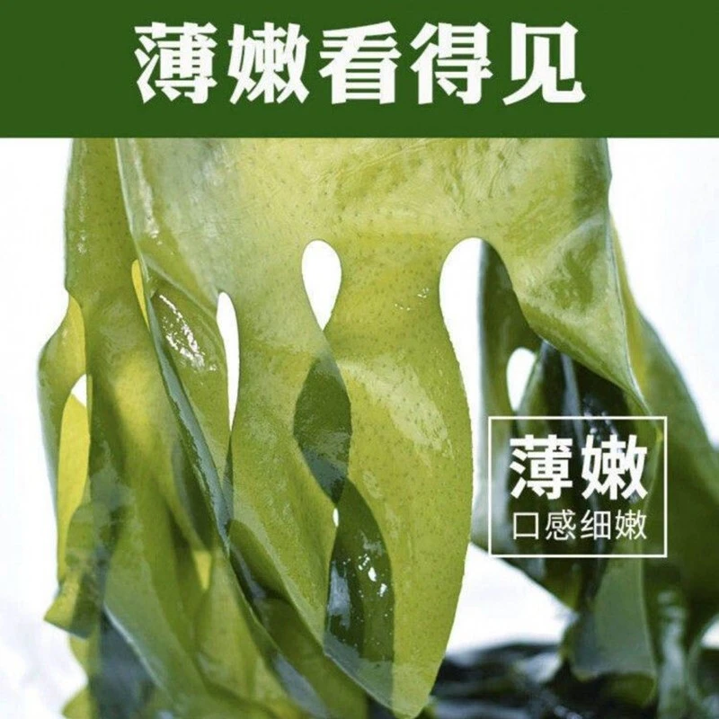 【无虫眼】新鲜盐渍裙带菜整箱商用高品质半干宝宝鲜嫩海白菜高泡发