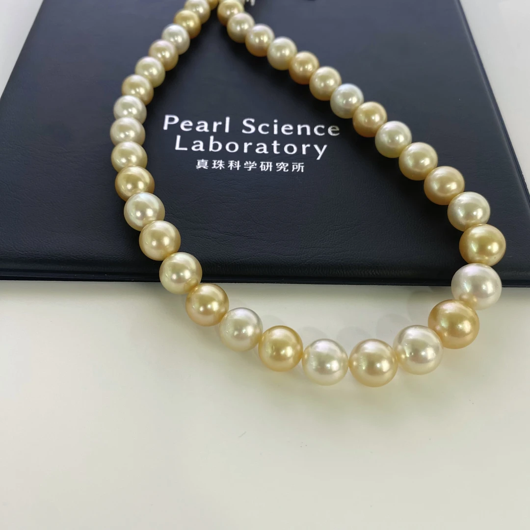 【极光凤凰】白蝶混彩项链极光凤凰时尚带真科研大证（多样性发一条