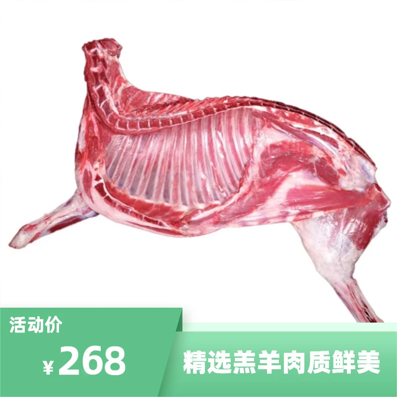 内蒙生产精选半羊8斤装内蒙古羔羊新鲜优质清炖发货鲜嫩天然散养