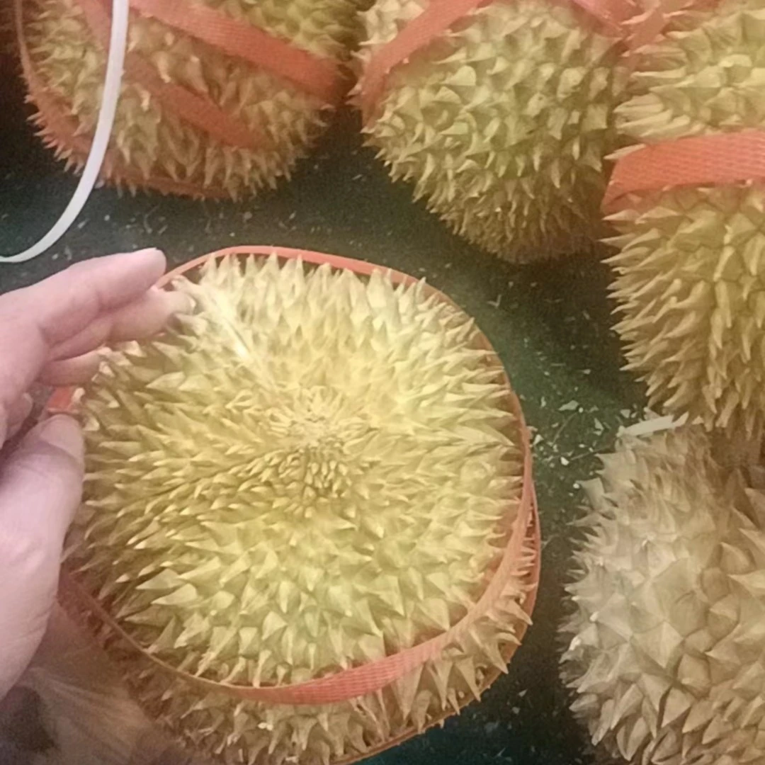 榴莲69榴莲