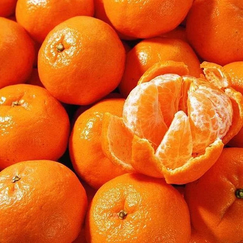 砂糖橘（盒装）【好东西】