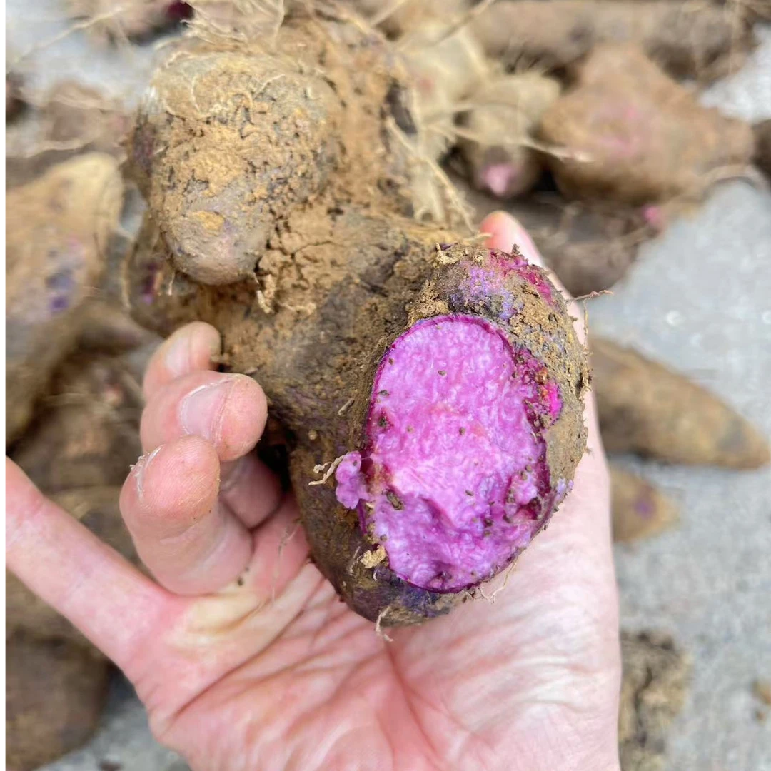 湖南耒阳本地农家土货