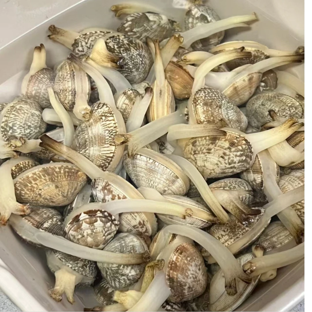 花甲5斤花甲同城送