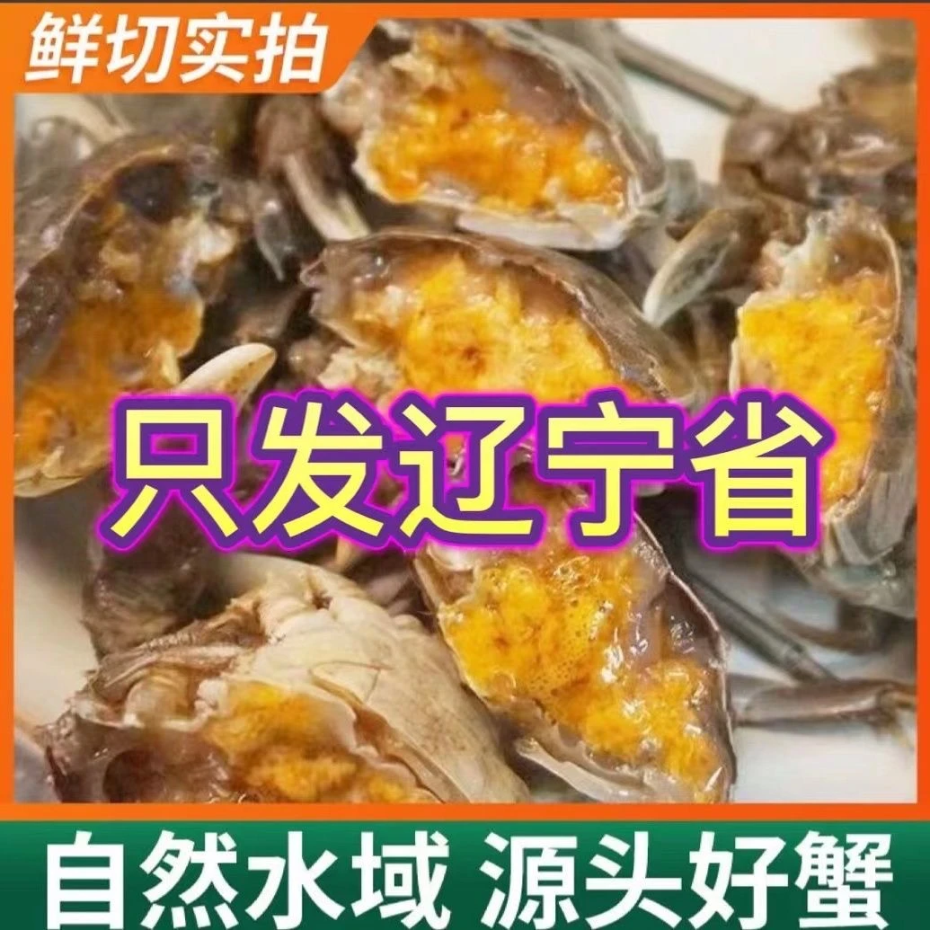 盘锦河蟹【母蟹】辽宁省内次日达0.8-1.1两/只 2斤装 产地活蟹直发 品质保证 顺丰发货