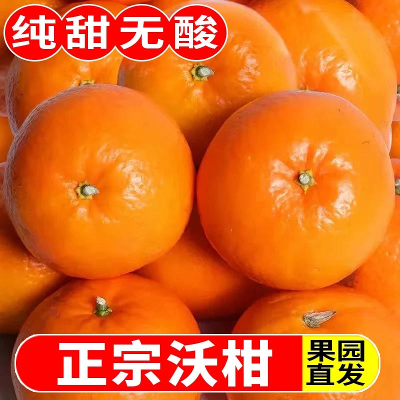 【福利抢】超甜正宗广西武鸣沃柑1-9斤新鲜水果产地直销蜜橘皇帝柑