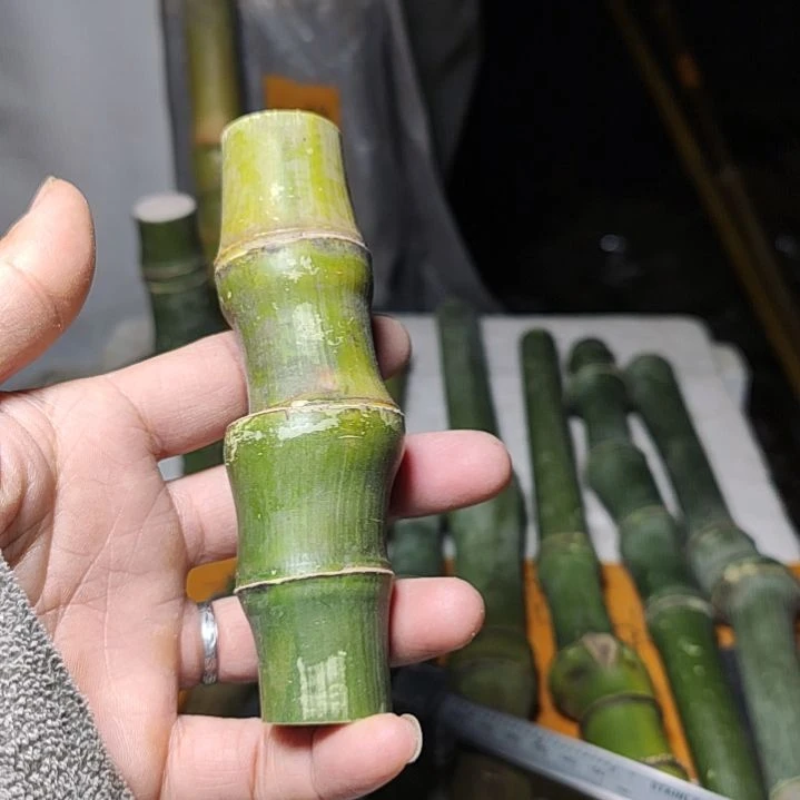 【闪购商品】大****修实心玉竹毛料