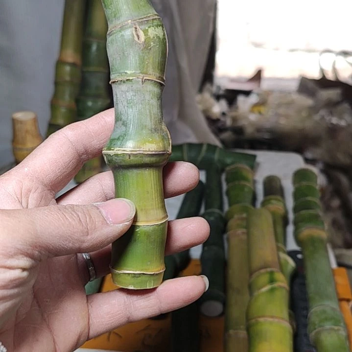 【闪购商品】天****）实心玉竹毛料