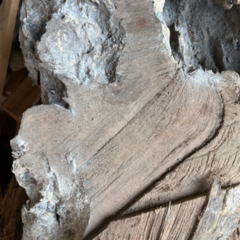 贵州梵净山正宗金丝楠木小叶桢楠小坨料