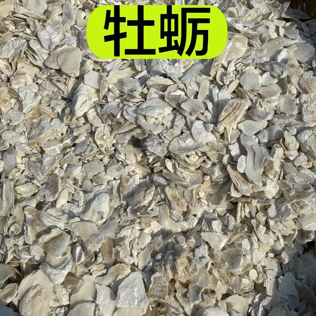 【牡蛎】生牡蛎 打碎龙骨牡蛎汤的牡蛎250克