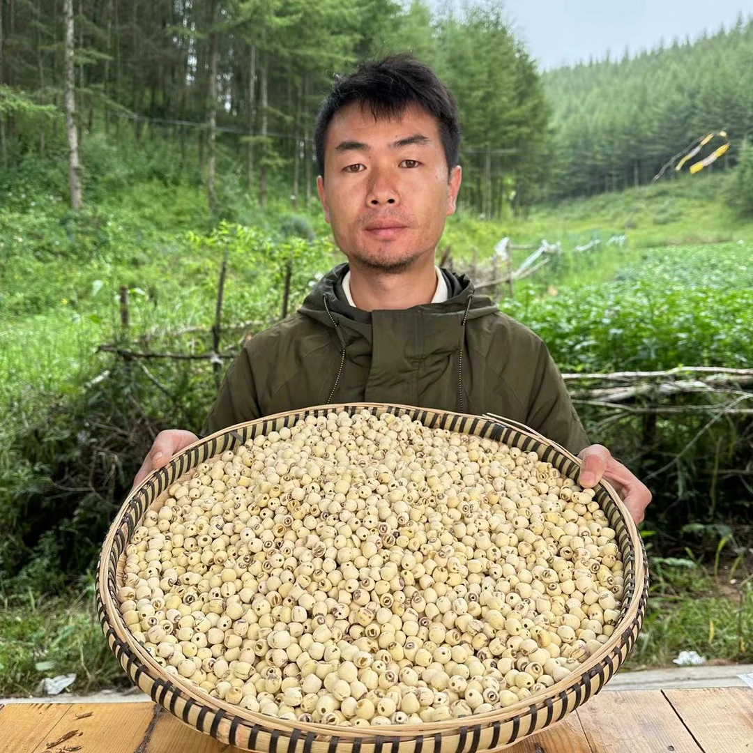 【抽芯莲子】正宗抽芯莲子干货250克包邮