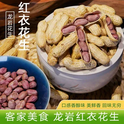 【 湿烤红衣花生】福建龙岩花生红衣花生带壳休闲五香花生即食