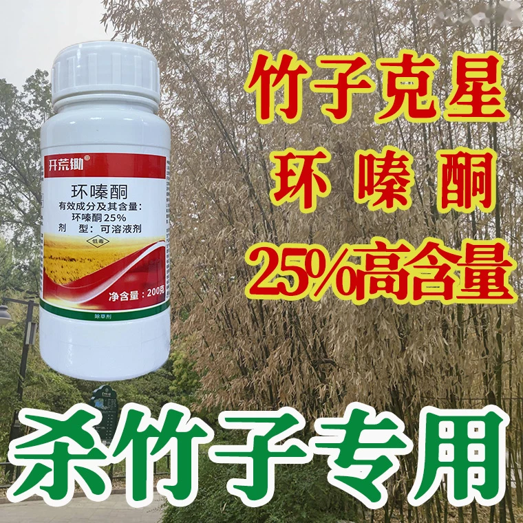竹子克星环嗪酮环嗪哃专用杀除竹剂杂竹净灭竹王死根烂根打大竹药
