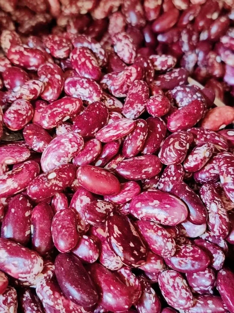 云南特产农家自种四季豆搭配酸菜汤净重