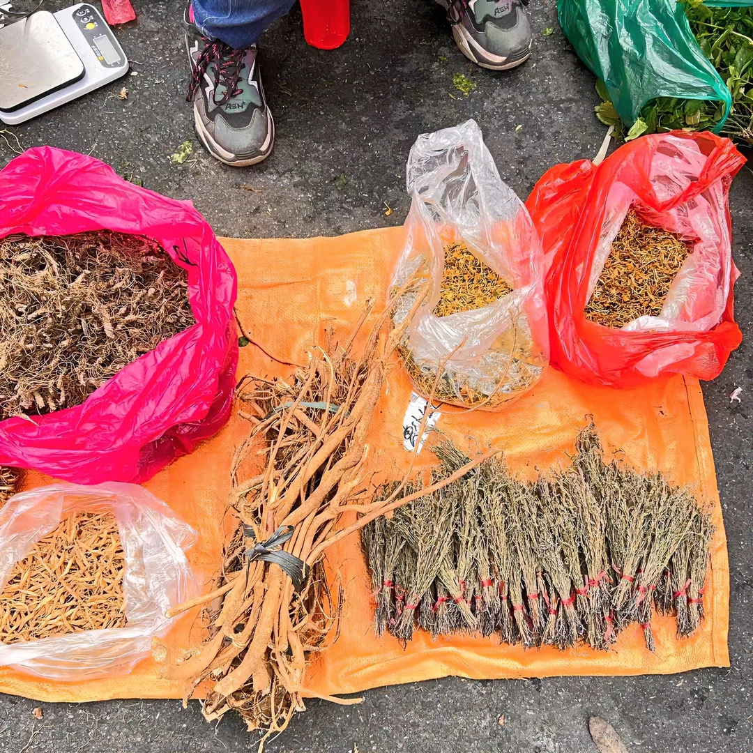 现场直播【土货优选】赶集源头山货优质时令蔬菜1~10斤农产品土特产