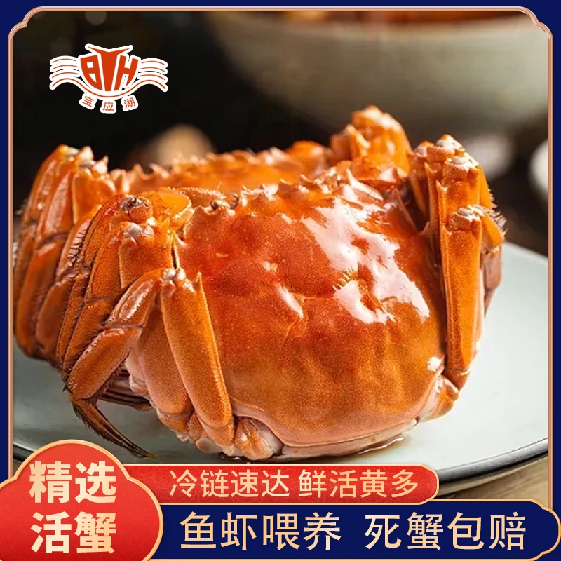 【匠心挑选】宝应湖精品大闸蟹 公4.1-3.8两母3.1-2.8两 8—10只装