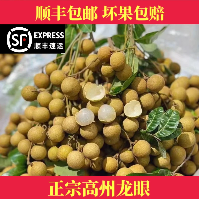 【石硖龙眼】新鲜直播特大石硖龙眼果肉厚正宗广东龙眼当季水果桂圆