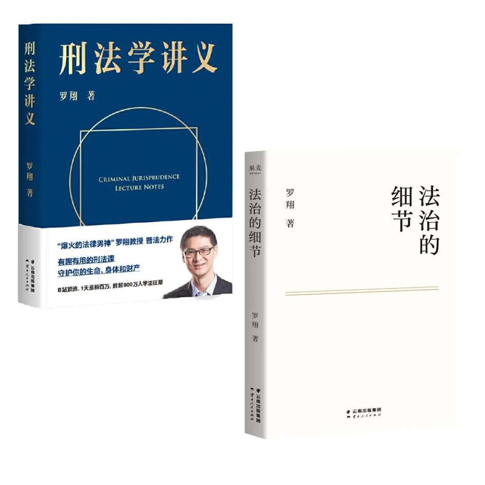 法治的细节/刑法学讲义/法治的细节+刑法学讲义