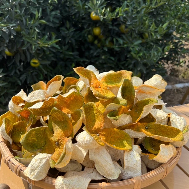 【2024 深吕产区 圈枝二红 】新会陈皮 花香清甜 大果头收藏级