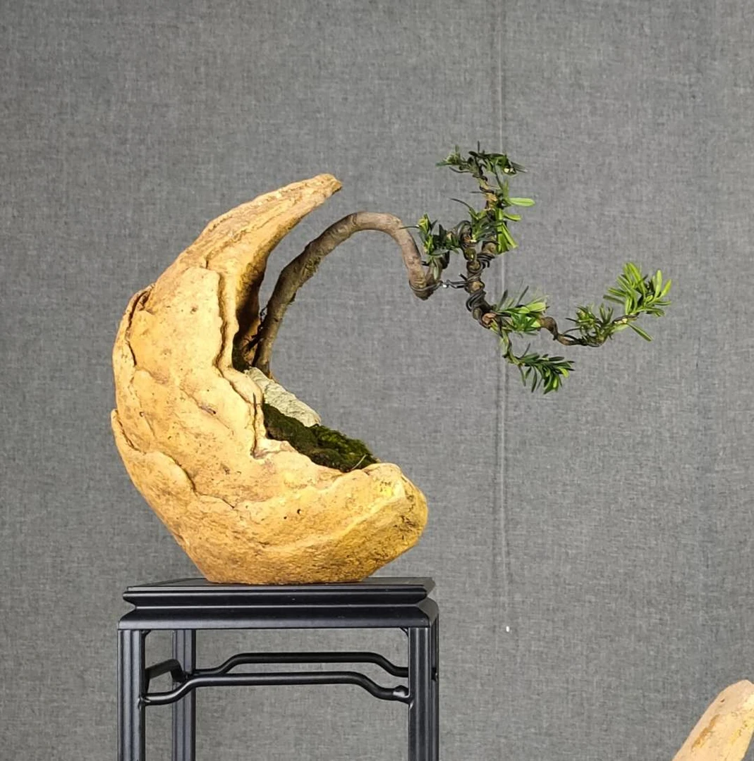 高仿云盆人工云盆大月亮盆