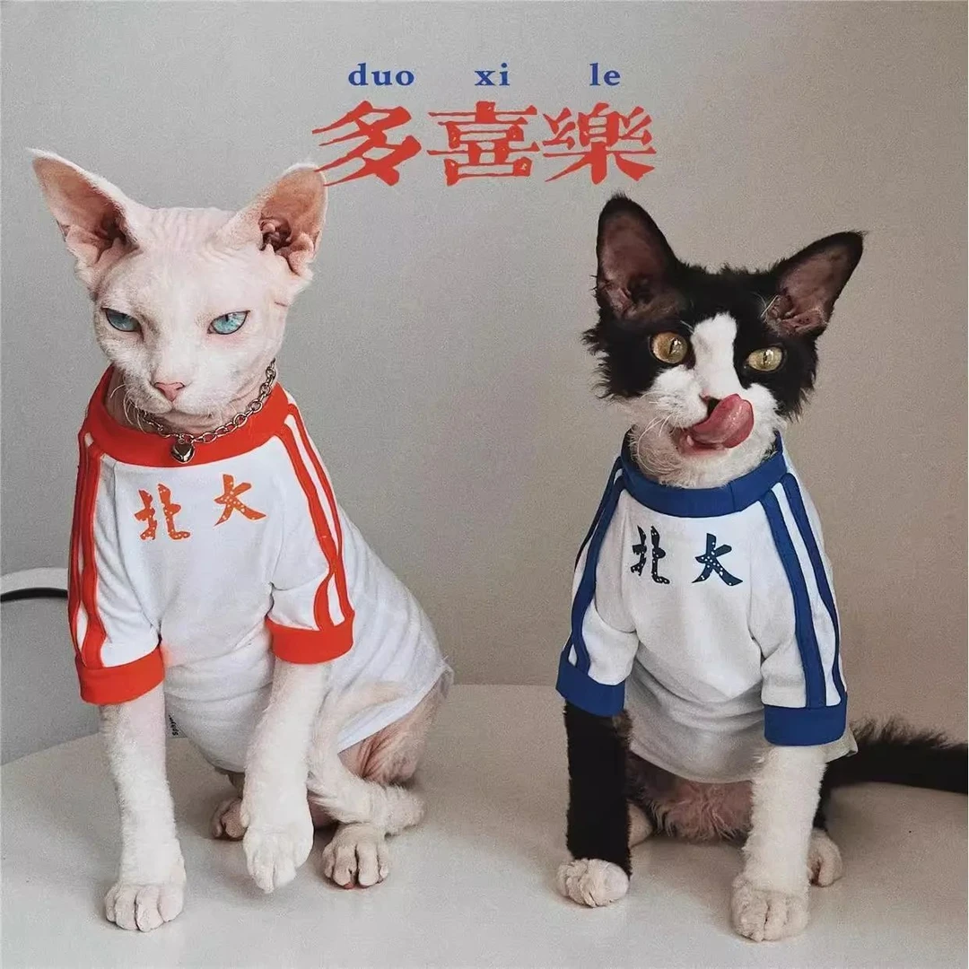 宠物衣服春夏轻薄款清华北大印花防掉毛德文猫无毛猫复古宠物衣服