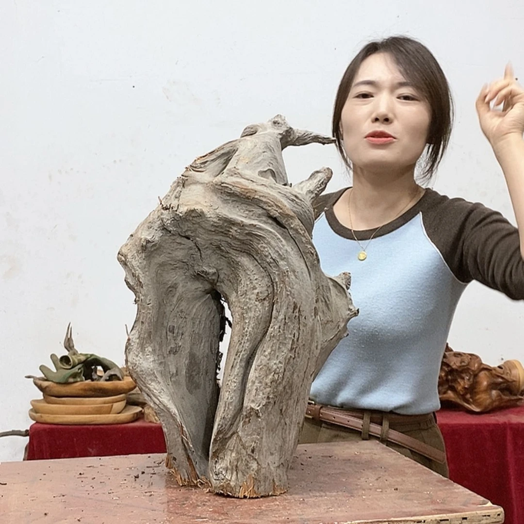 【闪购商品】柏木属****福