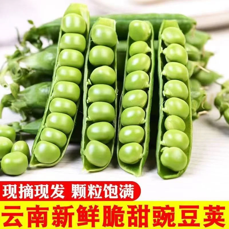 【超实惠】云南豌豆新鲜带壳青豆角粒农家蔬菜甜豆英嫩1/3/5斤包邮