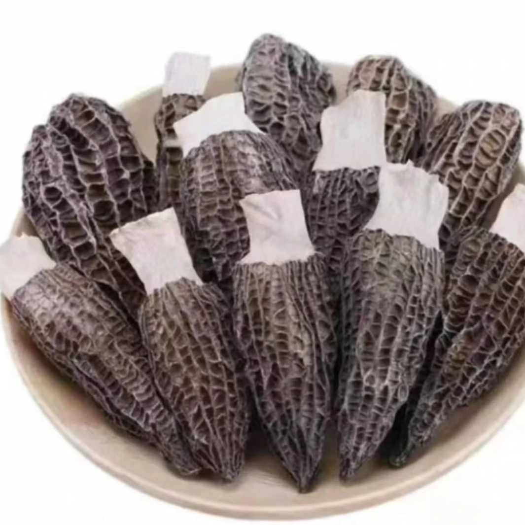 自家种植羊肚菌煲汤炖汤菌汤包食材食用菌类50g（3-6cm）