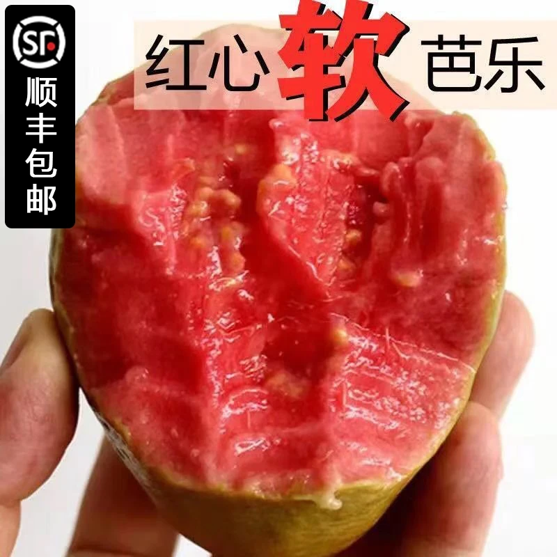 【顺丰包邮】广西软心芭乐红心番石榴新鲜水果软芭乐果白心细腻清甜