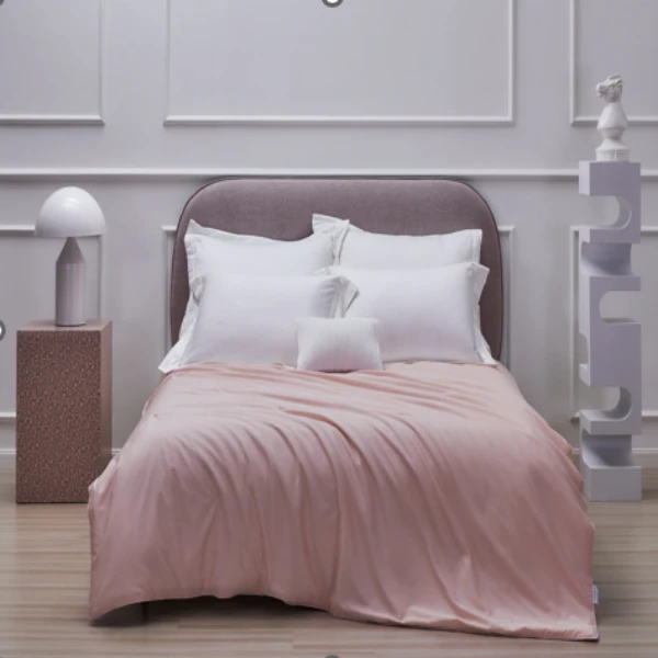 【恐龙专属】恐龙 静澜 抗菌桑蚕丝夏被 S12E