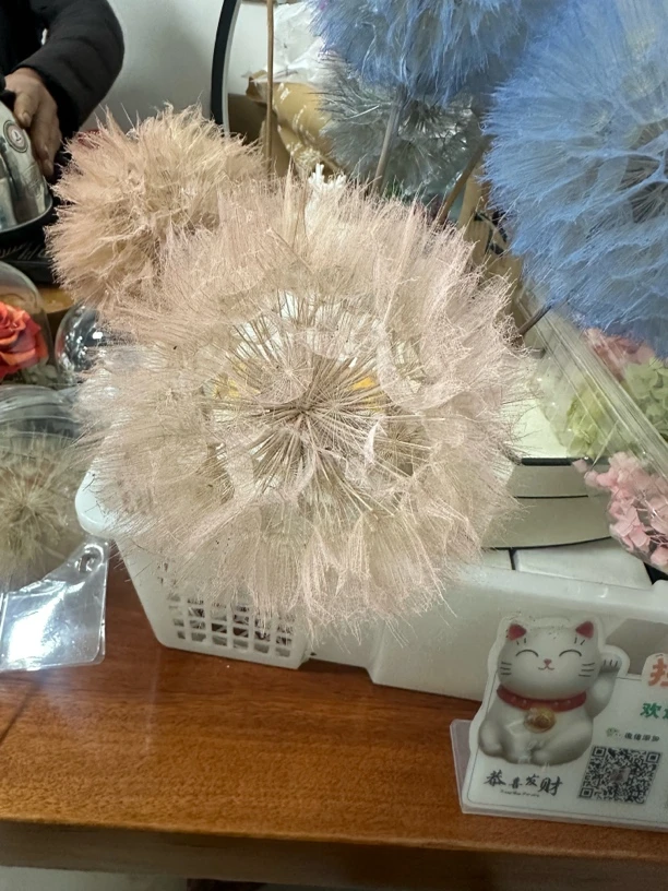 永生蒲公英花diy材料一朵直径10厘米（no退no换）