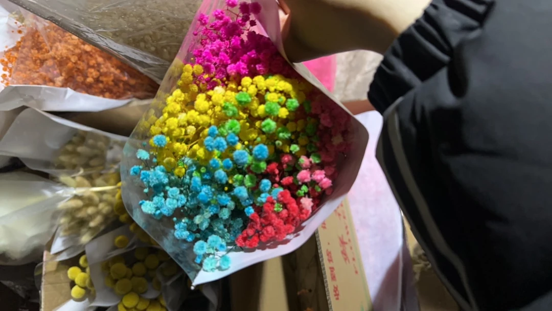 满天星永生花100g