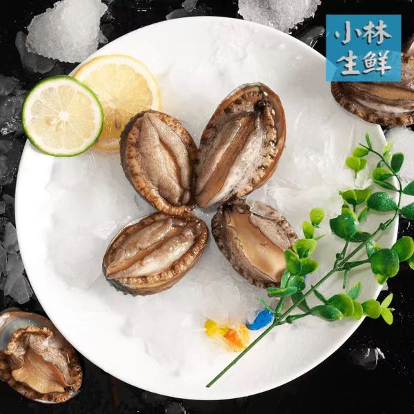 福建大鲍鱼 大连鲍鱼 鲜活鲍鱼十头鲍鱼20只