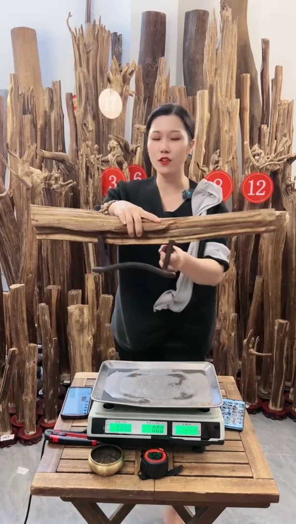 【闪购商品】沉香摆件沉香摆件+底坐8