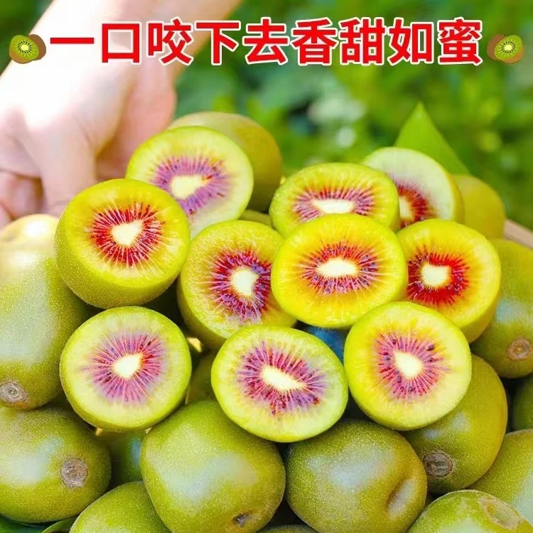 直播新安助农公益推荐红心猕猴桃