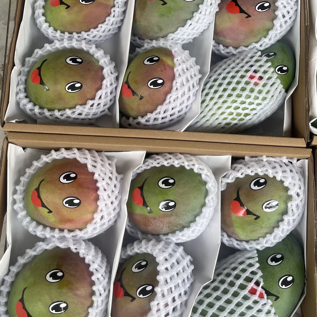 丽江凯特芒金沙江边晚熟芒