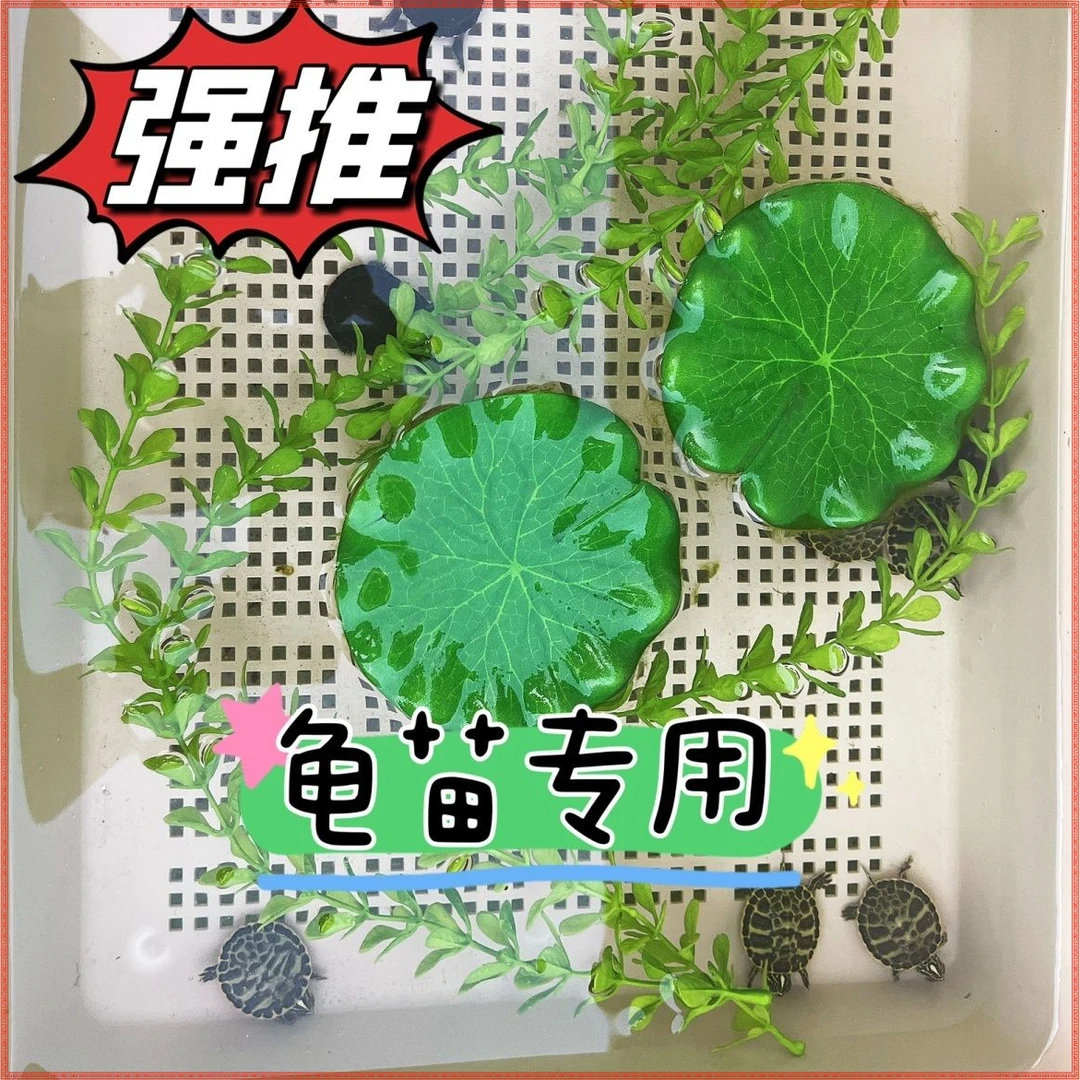 乌龟仿真水草条龟苗防溺水躲避应激咬伤草造景鱼缸龟缸育龟【咪旺】
