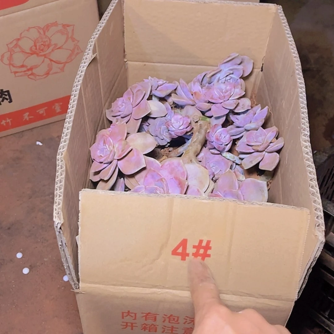 【闪购商品】222222