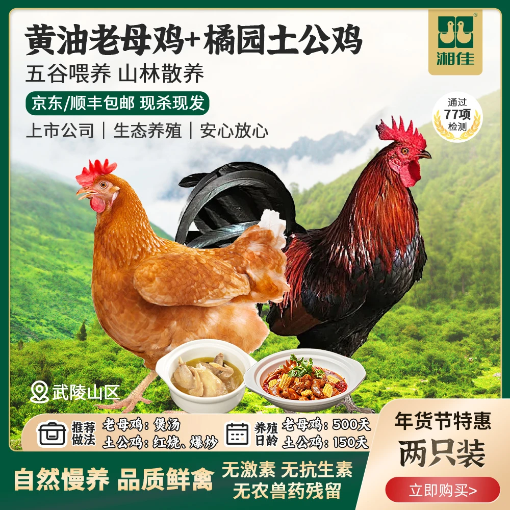 【到手两只】黄油老母鸡1100g/只+土黑公鸡1300g/只