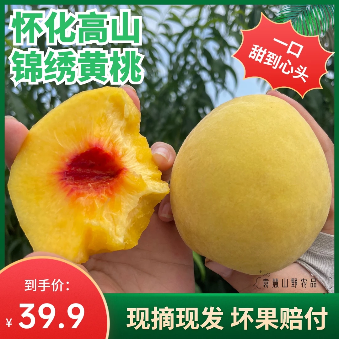 袁慧果园湖南怀化天然高山黄桃当季水果纯甜无酸新鲜水果5斤