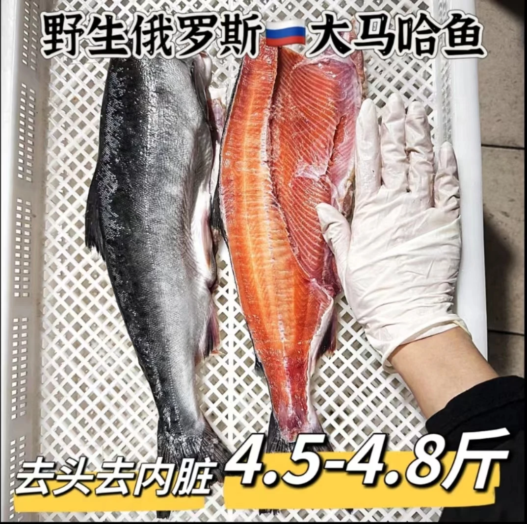 俄罗斯进口大马哈鱼去头去脏4.5-5斤(3-4条)顺丰生鲜发货