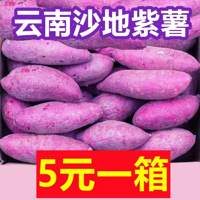 【时令】云南新鲜紫薯现挖现发紫罗兰番薯紫心蜜薯农家地瓜板栗香沙