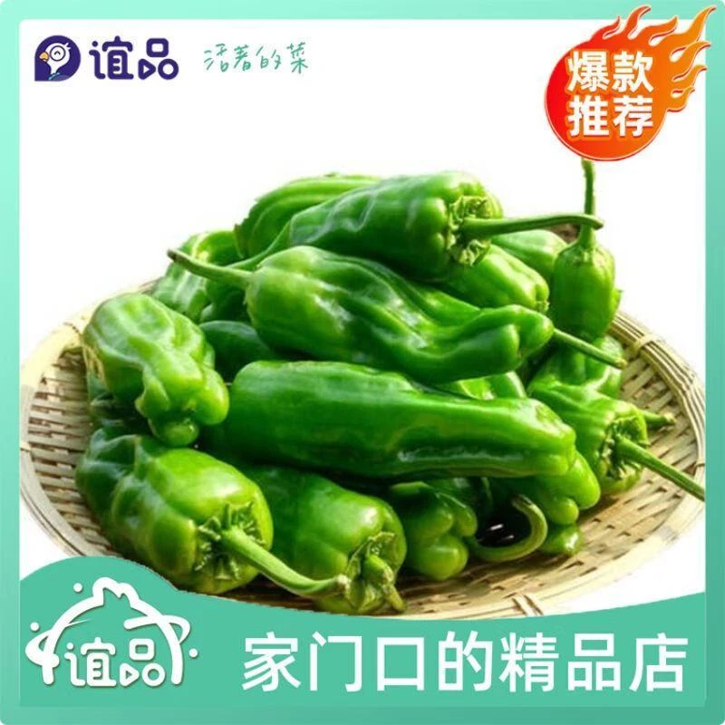 【爆】薄皮椒 300g±20g/份