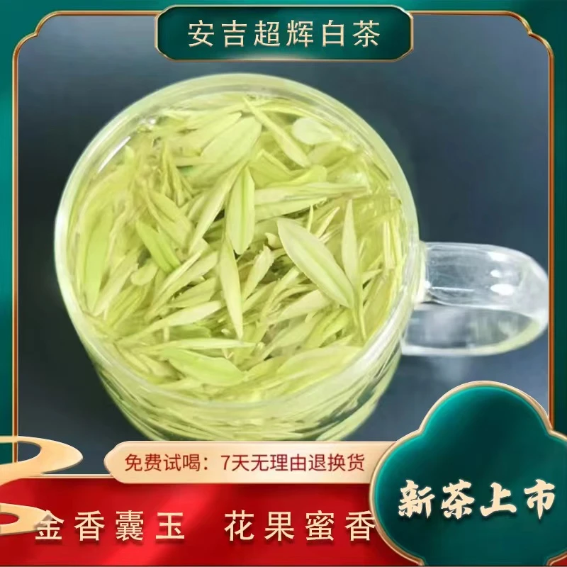 【2025年新茶】J2金香玉 安吉原产地  高山茶 明前茶 春茶